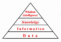 Picture: pyramid of wisdom. 