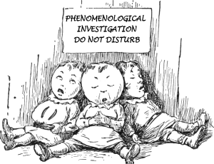 phenomenological-investigation